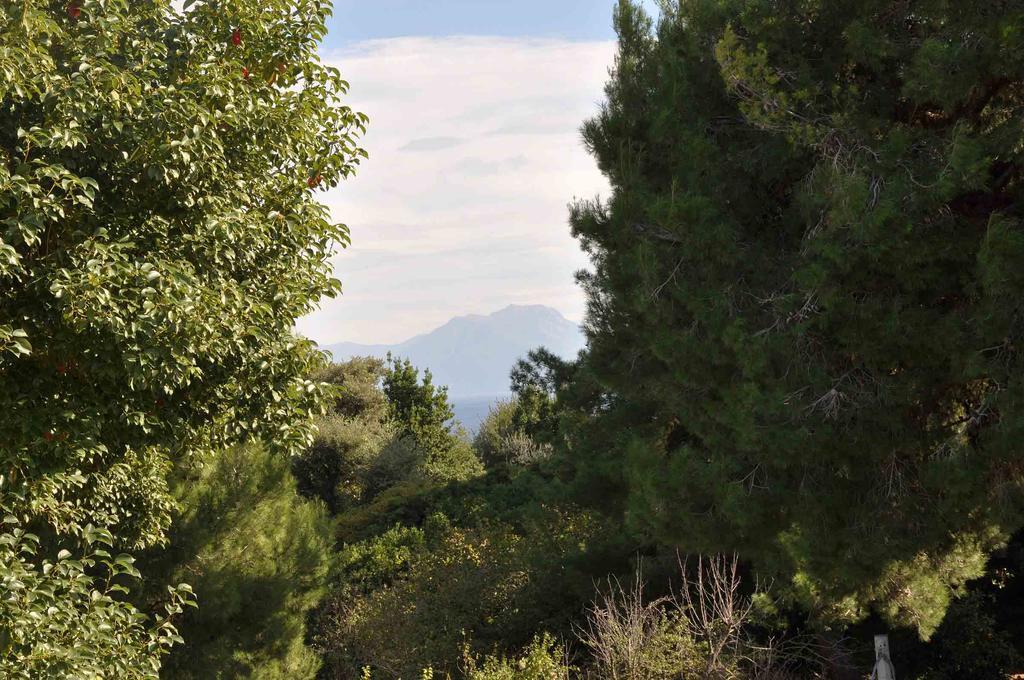 Residenza Le Rose Villa D'Arte Neapol Exteriér fotografie