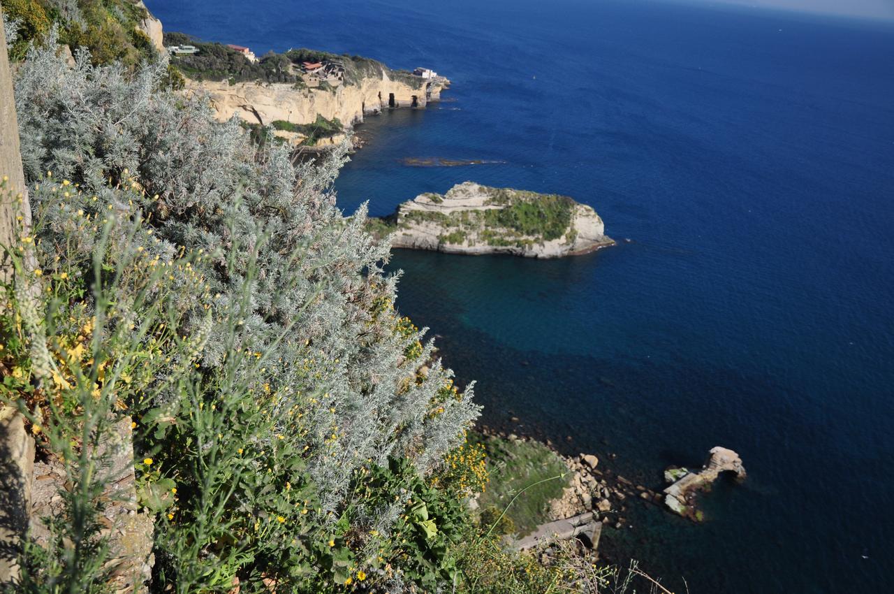Residenza Le Rose Villa D'Arte Neapol Exteriér fotografie